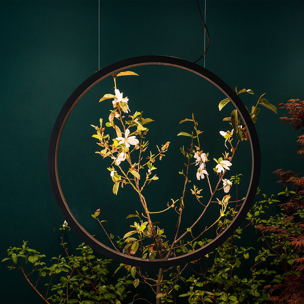 "O" Suspension Light (Indoor/Outdoor)hero